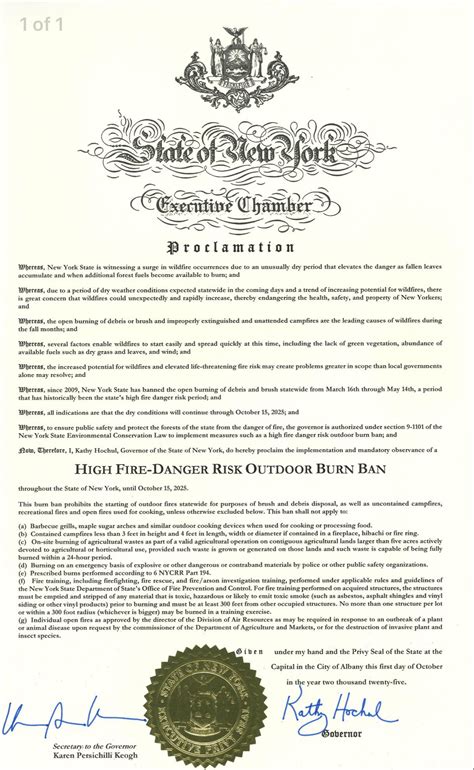 Burn Ban in Effect Throughout New York State • Cold Spring, NY