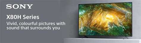 Sony Bravia 123 cm (49 inches) 4K Ultra HD Certified Android LED TV ...