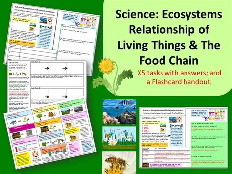 Ecosystem Worksheet 的图像结果