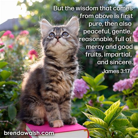 Christian Wisdom - Brenda Walsh Scripture Images