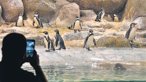 Byculla zoo’s exotic zone to be upgraded soon