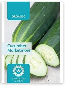 VibeX ® VXI-775 Cucumber Seed Price in India - Buy VibeX ® VXI-775 ...