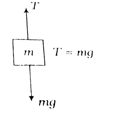 Two blocks of masses 2m and m are in equilibrium a shown in the figure ...
