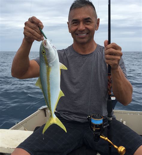 What does the Hawaiian Yellowtail aka Hiramasa taste like?