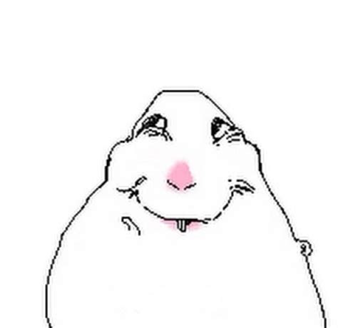 Cool thing | Funny hamsters, Funny doodles, Funny reaction pictures