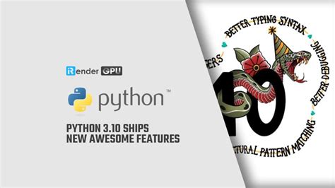 Image result for Python 10