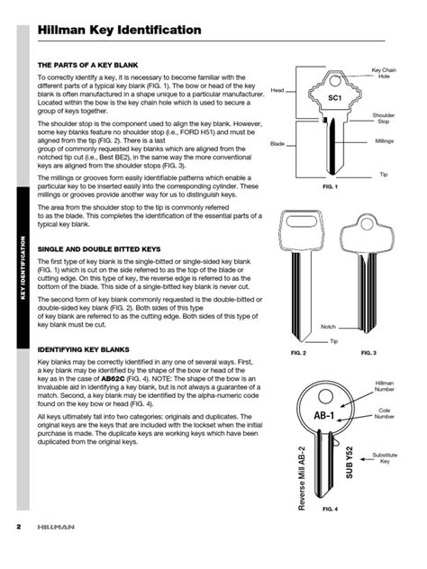 Image result for Identification key Tutorial