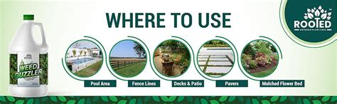 Zyax Rooted Weed Guzzler 2.5 Litre, Ready-To-Use, Weed & Unwanted Plant ...