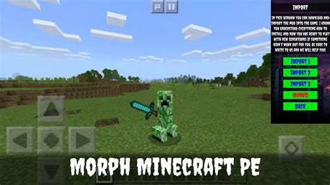 Image result for Latest Best Morph Mod for Minecraft Java