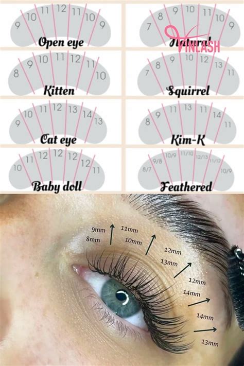 Lash Extension Tutorial Classic 的图像结果
