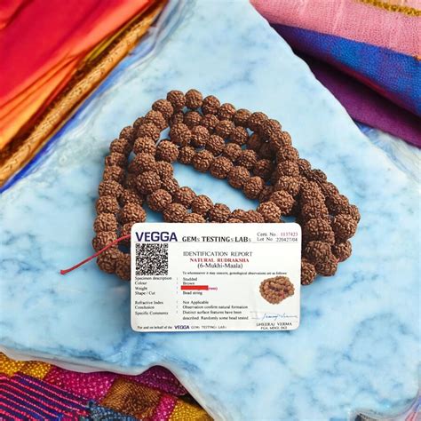 6 Mukhi Rudraksha Mala | Lab Certified Beads by Timeshopee