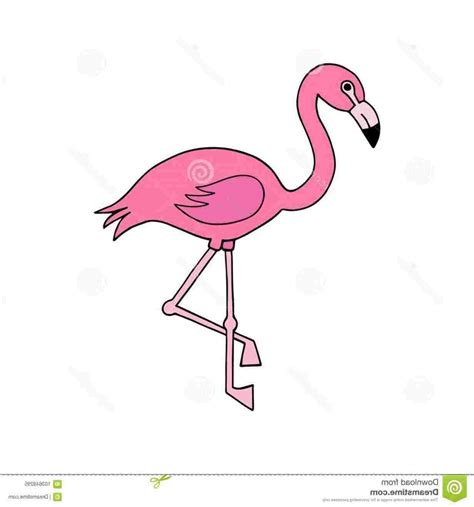 Simple Flamingo Drawing at PaintingValley.com | Explore collection of ...