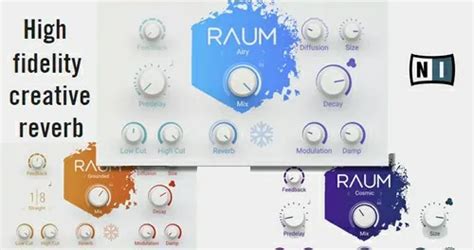 Image result for Native Instruments Raum