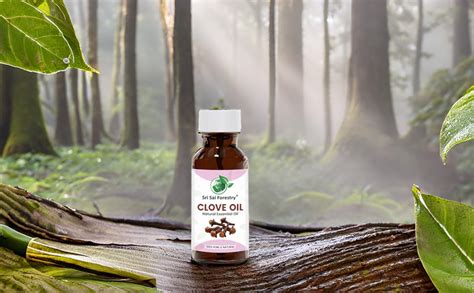 Nilgiri Hills Clove Essential Oil 40ml | 100% Pure & Natural ...