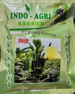 HYBRID 100g, F1 hybrid radhika bhindi/ okra seed highest yield variety ...