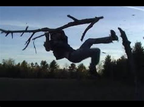 Falling From a Tree Remix 的图像结果