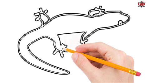 Image result for Common Collared Lizard How to Draw