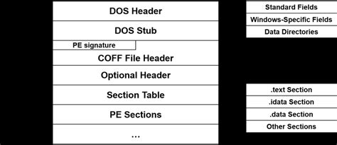 Image result for Pe File Format