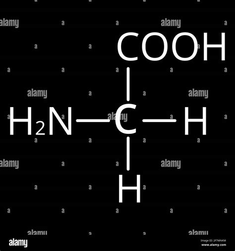 Glycine Lewis Structure