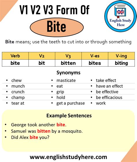 Past Tense of Bite, Past Participle of Bite, V1 V2 V3 V4 V5 Form of ...