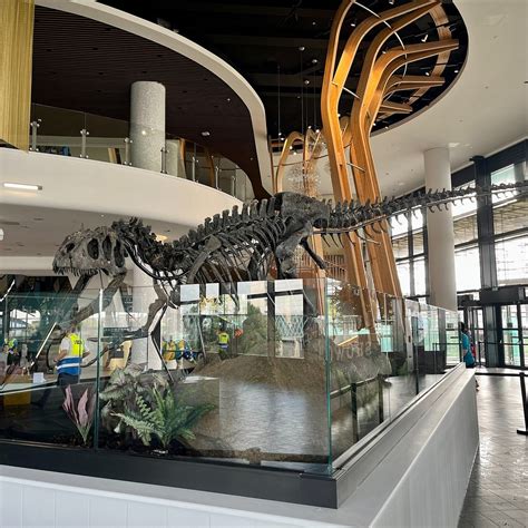 BIG SARA - All You Need to Know BEFORE You Go (with Photos) - Tripadvisor