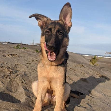 NZXT Kraken 360 RGB 360mm CPU Liquid Cooler/AIO with with LCD Display ...