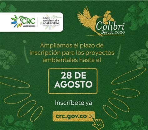 Últimos días para participar de la cuarta versión Colibrí Dorado 2020 ...