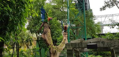 Shuka Vana (Mysuru (Mysore)) - 2021 What to Know Before You Go (with ...