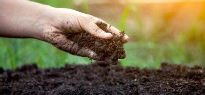 Soil Health Card Scheme helped to achieve surplus capacity in foodgrain ...
