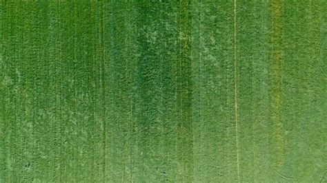 Image result for While Loop Python Mosh