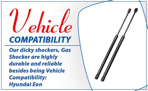 AutoClean Dicky Shocker For Hyundai Eon (set of 2) : Amazon.in: Car ...