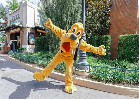 How to Meet Pluto on Grand Ave at Disney's Hollywood Studios