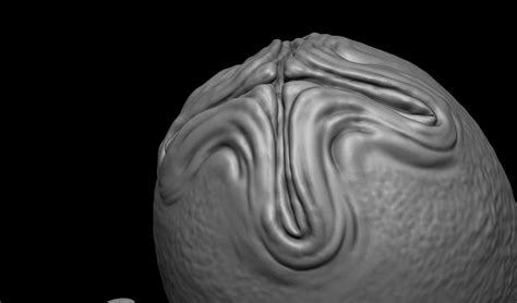 Image result for Alien Egg Morphing