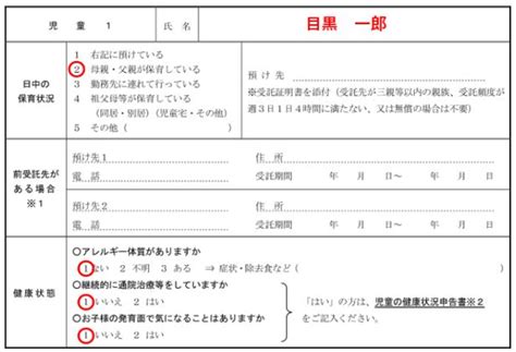 Knapsack Dynamic Programming 的图像结果