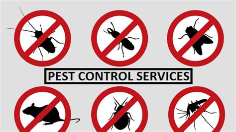 Image result for Pest Stop How Do Setting