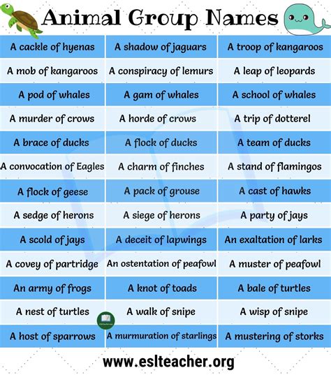 90+ Interesting Names for Groups of Animals | Animal Group Names - ESL ...
