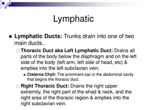 Image result for Lymph trunk Lymphatic System