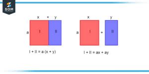 Distributive Law Division 的图像结果