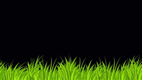 Looped animation of grass. Animation with grass moving. 4K seamless ...