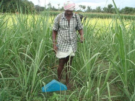 Weed Management :: Chemcial Method
