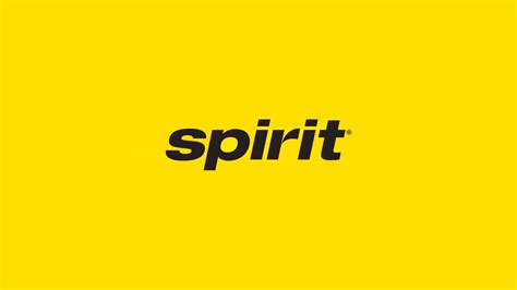 Spirit Airlines Pet Policy: How to transport a pet in 2026 - Travel ...