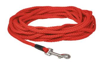 Harnesses, Collars & Leashes | Petlando - Petlando