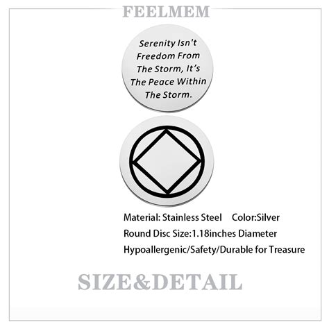 FEELMEM Narcotics Anonymous Pocket Token NA Sobriety Gift Serenity ...