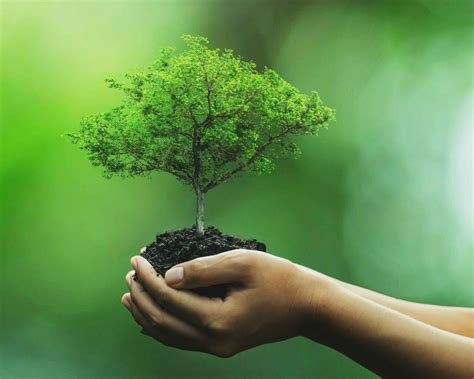 Environment Setting 的图像结果