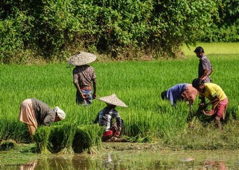 Makunda Christian Leprosy & General Hospital