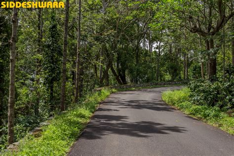 Enjoy Bangalore To Yercaud Weekend Road Trip