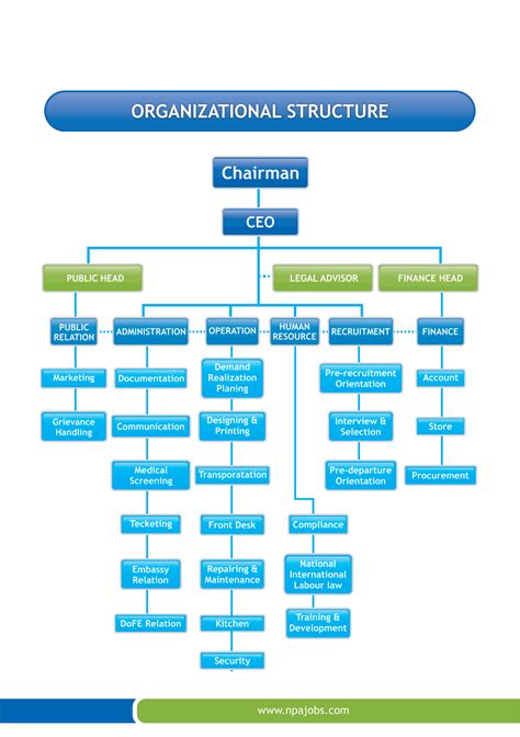 Label the Organizational Structure 的图像结果