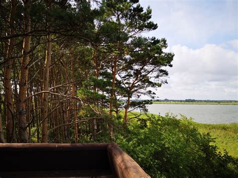 Observation tower Fuchsberg