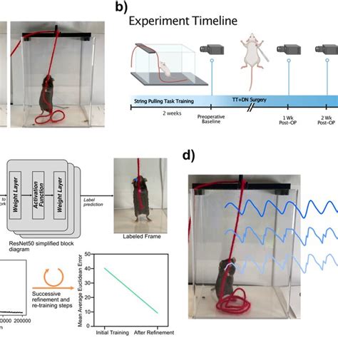 Image result for String Pulling Algorithm