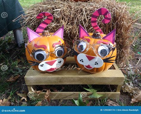 Creative Halloween Pumpkin Decorating Idea, Cat Faces, Cute Autumn ...